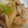 curisupin's cooksnap of when they made 簡単☆しっとり柔らかねぎ塩チキン。.