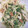 クックLO1YBH☆'s cooksnap of when they made 水菜とちくわのゴママヨネーズ和え♪.