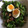 ぱりぽっぽ's cooksnap of when they made 簡単♡ケールのごま塩炒め♪.