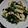 クッカーまさおちゃん's cooksnap of when they made なばなと油揚げの煮物.