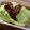 ゆずポン♪'s cooksnap of when they made キムチーズオムライス.