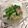 ぽぽきゅ's cooksnap of when they made 香味納豆〜ニラ葱生姜〜.