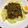 ちゃおっこ☆'s cooksnap of when they made カレーパウダーで作る！ドライカレー.