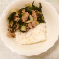 なんなんナナ's cooksnap of when they made やみつき♪丼にも♪セロリと豚肉の金平風.