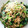 はちゃふちゃ's cooksnap of when they made ほうれん草と春雨の中華炒め.