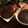 喜八＆Hacchi's cooksnap of when they made ローストビーフ オニオングレービーソース.