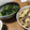 ﾌﾞﾚﾝﾀﾞ's cooksnap of when they made ほうれん草のゆで方.