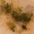 けーこころん's cooksnap of when they made ★離乳食★【初期】白菜のダシ煮♫♬.