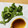 せいぞうキッチン's cooksnap of when they made こごみと油揚げの胡麻和え.
