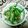 まぶたん's cooksnap of when they made ごぼうと水菜のポン酢サラダ.