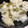 ゆっきん♪'s cooksnap of when they made 豆とお塩だけ！塩加減抜群☆豆ごはん.
