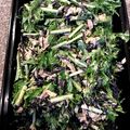 PARNELL's cooksnap of when they made 水菜とひじきのツナサラダ。わさび風味.