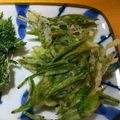 aokojiro's cooksnap of when they made 新茶葉の天ぷら.