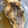 椎名蜜柑's cooksnap of when they made 鯛の煮付け.