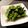 misatona's cooksnap of when they made ✿ｶﾞｰﾘｯｸ枝豆✿.