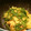chou*'s cooksnap of when they made 豆苗と卵炒め.