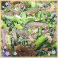 Emiii28's cooksnap of when they made 卯の花(おからの炒り煮).
