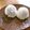 低カロ探検隊's cooksnap of when they made 大福.