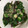 ウミガメ１'s cooksnap of when they made つるむらさきとオクラのゴマドレ.