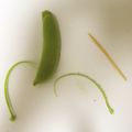 ヒミツ★'s cooksnap of when they made スナップえんどう 超簡単筋取り！！.