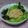 YUNKUN's cooksnap of when they made 明太子シャキシャキポテトサラダ.