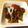 ハッピーまま☆'s cooksnap of when they made レンコンのきんぴら　ピリ辛　お弁当に.
