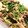 naccc's cooksnap of when they made きのこの明太子バター炒め.
