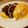 れんたgogo's cooksnap of when they made ビーフストロガノフオムライス✨.