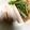 Marmo's cooksnap of when they made ダイエット常備菜 〜塩麹のサラダチキン〜.