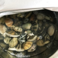 年中ねぼすけ's cooksnap of when they made 失敗しない！アサリの砂抜き.