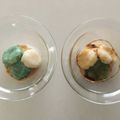 aya_nocchi's cooksnap of when they made 材料２つ♡もちもちおから団子.