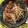 ｘｘyuzumikanｘｘ's cooksnap of when they made 砂ずりとモヤシの炒め物.