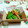SP♪'s cooksnap of when they made かにかまと絹さやの胡麻和え.