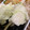 ﾌﾞﾚﾝﾀﾞ's cooksnap of when they made 焼肉 野菜の切り方、下準備メモ.