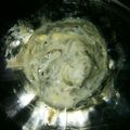 momo634's cooksnap of when they made 塩麹さんに感謝♪生シラスの即席麹漬け◎.