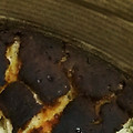 あーぽこちゃん's cooksnap of when they made HM&ヨーグルトヘルシーケーキ砂糖不使用.