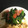 o1o8ks2y's cooksnap of when they made 「ウィンナーとほうれん草のバター炒め」.