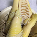 塩むすび好き's cooksnap of when they made たけのこのアク抜き.