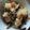 amadokoro's cooksnap of when they made 山菜おこわ.
