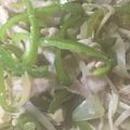 ちゃぎー's cooksnap of when they made ご飯に乗っけて！豚肉のしょうが焼き丼.