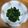 なみか☆'s cooksnap of when they made ほうれん草の胡麻和え.