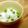 chou*'s cooksnap of when they made ふっくらつやつや色鮮やかな豆ご飯.
