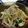 酒を飲みたい's cooksnap of when they made 3種の野菜のピーナッツ和え.