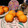 oni1030's cooksnap of when they made 普通のマドレーヌ♬.