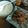 Jun369's cooksnap of when they made 豚ロース切り身のソテー.
