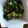 クックOYTSP1☆'s cooksnap of when they made 材料３つで✩オクラと胡瓜の塩昆布和え.