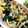 みー犬。's cooksnap of when they made 簡単！鮭とほうれん草のクリームうどん.