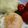 naki1227's cooksnap of when they made えのき入りふっくらハンバーグ.