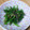 ふにてる's cooksnap of when they made 基本の和食39　セリの胡麻和え.