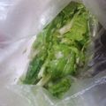 ふぁんたにゃん's cooksnap of when they made 山東菜(さんとうな)の浅漬け.